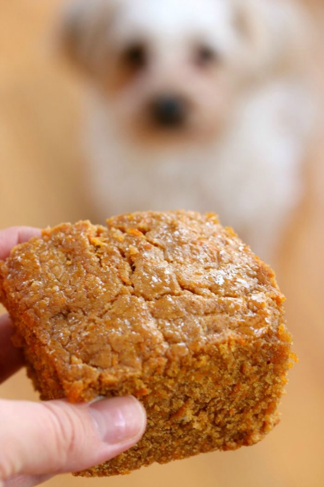 the-9-best-homemade-dog-treats-foodie